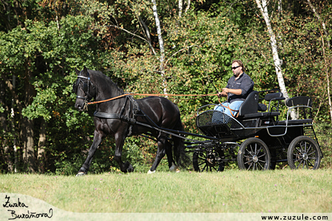 Hebec Trenewydd King Flyer