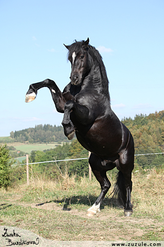 Hebec Pretoria Ramirez