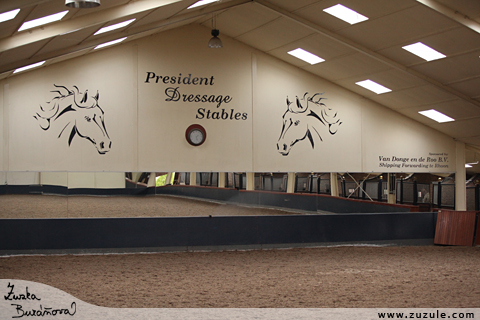 President Dressage Stables