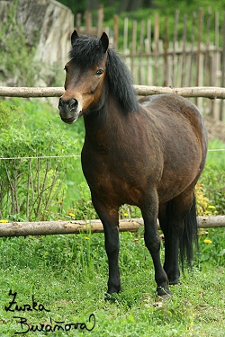 ZOO Brno