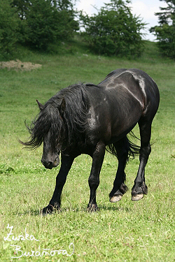 Hebec Accoudoir