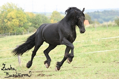 Kozolupy jen 2007