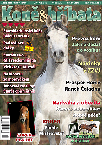 Koně & hříbata listopad 2012