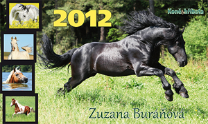 Stolní kalendář koně 2012