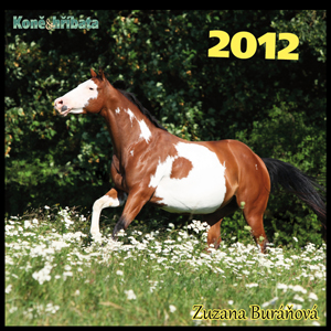 Nástěnný kalendář koně 2012