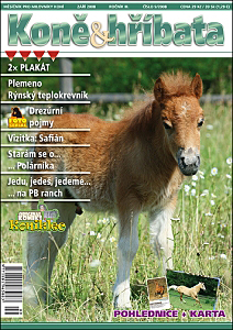 Koně & hříbata září 2008