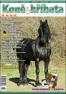 Koně & hříbata listopad 2008