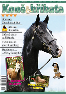 Koně & hříbata září 2009