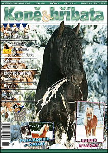 Koně & hříbata leden 2010