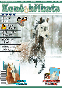 Koně & hříbata únor 2010
